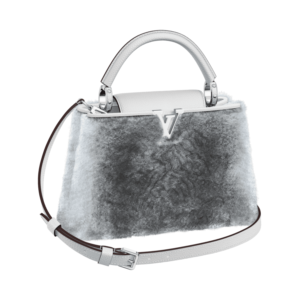 Louis Vuitton Purse Care Guide: Tips for Timeless Elegance and Longevi –  Havre de Luxe