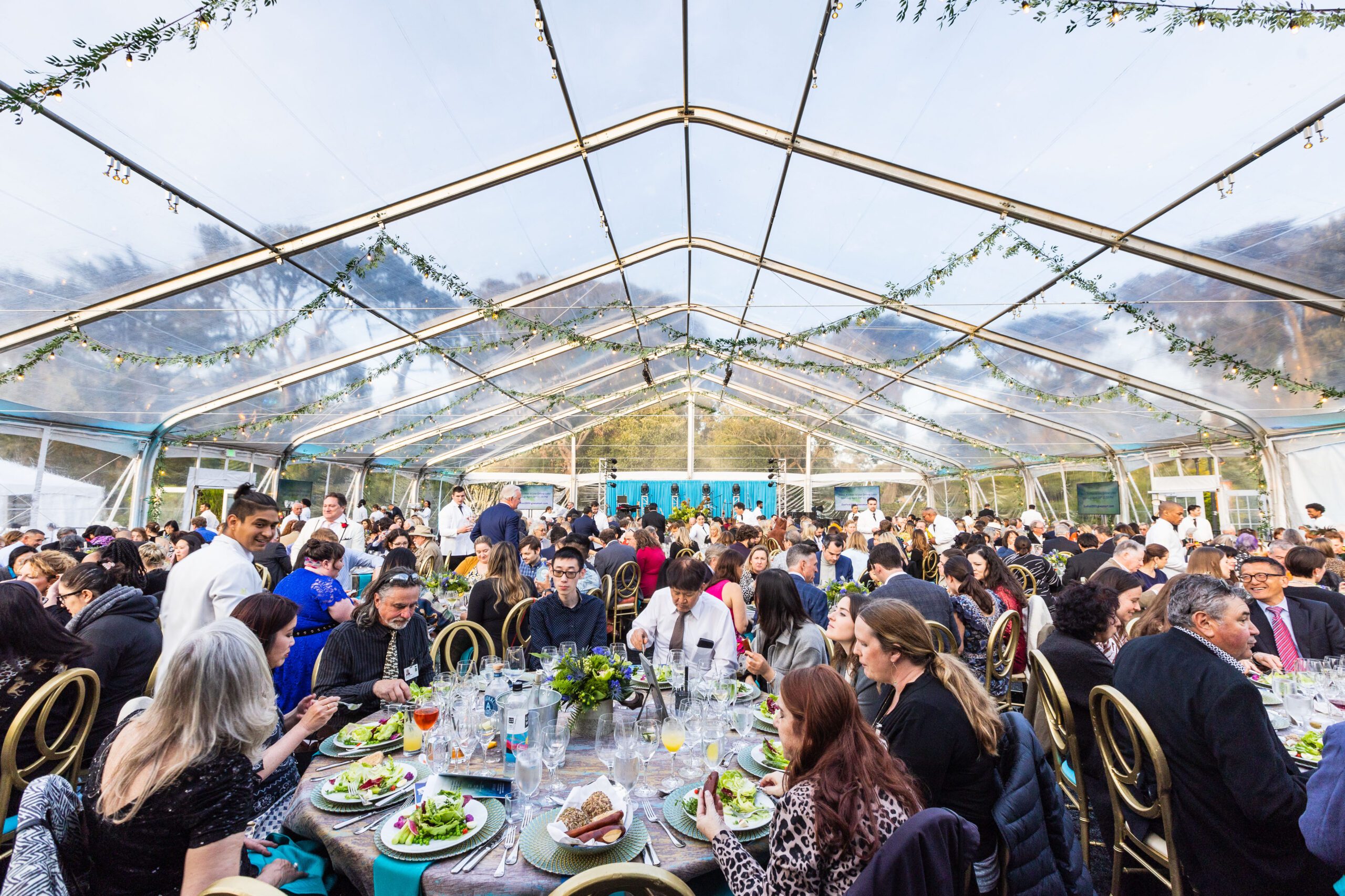 The San Francisco Zoo’s 2023 Zoofest Celebration Haute Living San Francisco