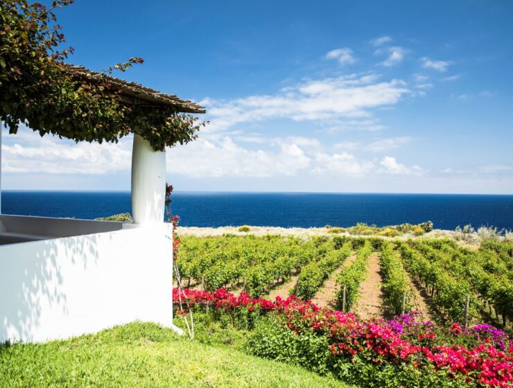 Tasca D'Almerita's Capofaro on Salina Island.