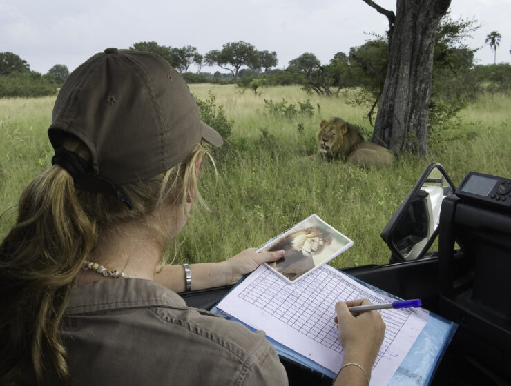 Bushtracks conservationist compiling data in Hwange National Park.