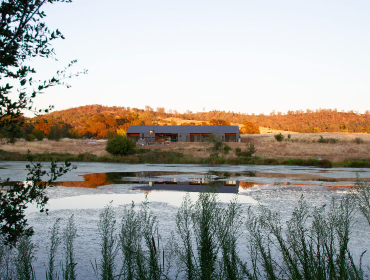 Blue Ruby Farm