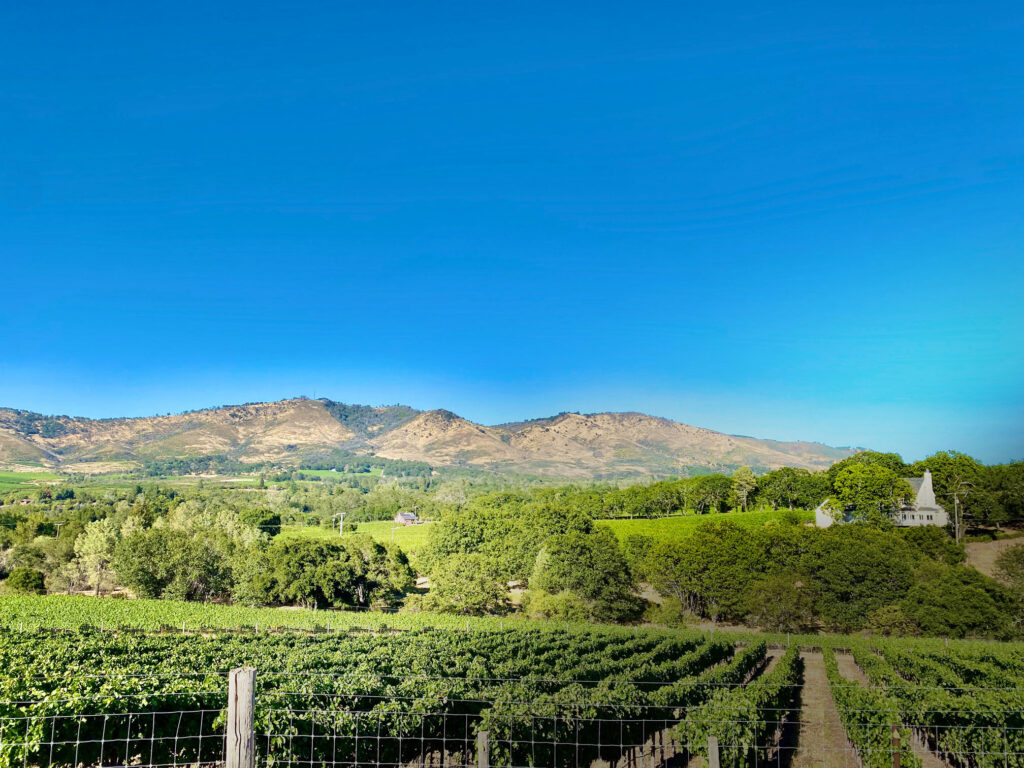 Napa Valley - (1)