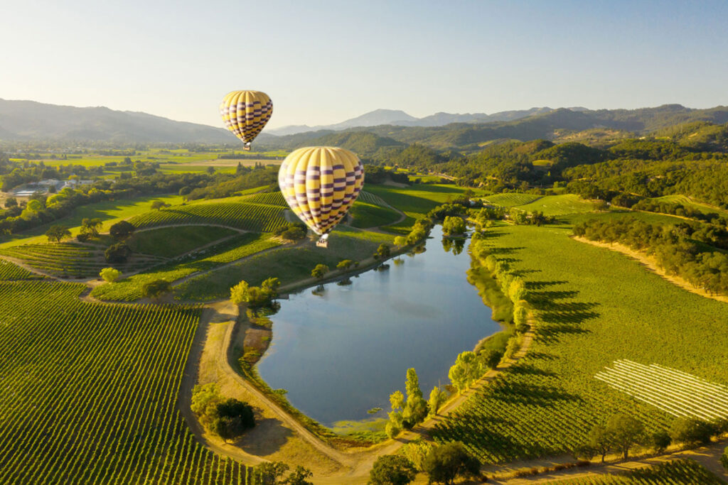 Napa Valley - (5)