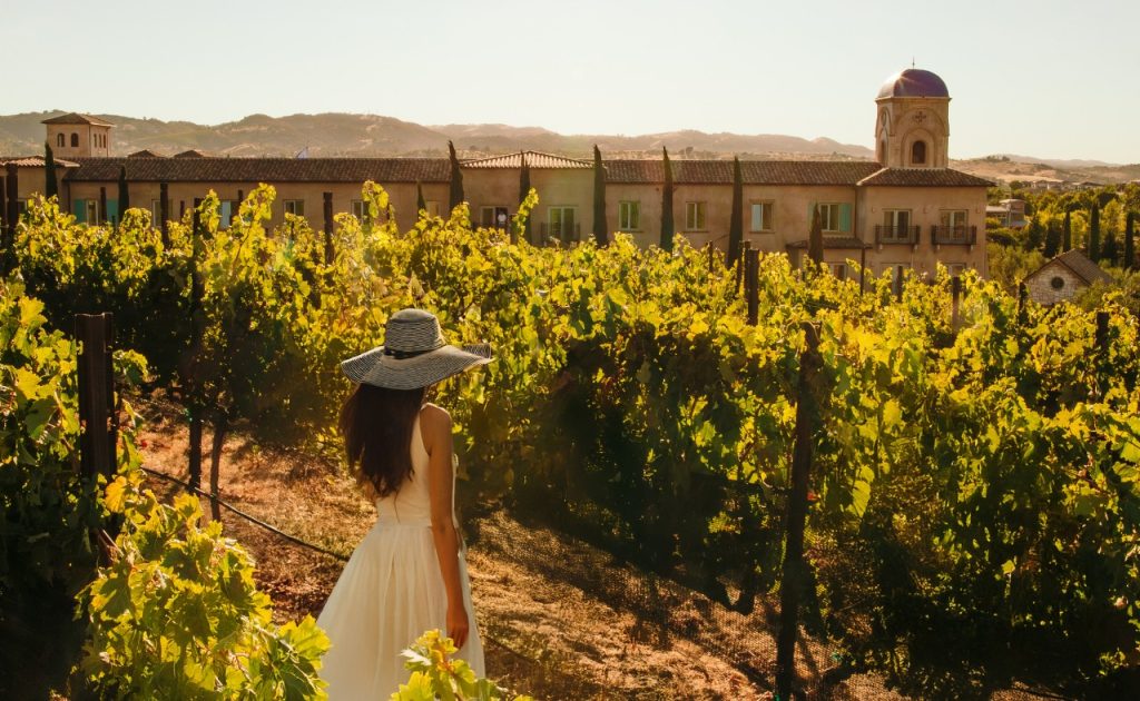 Guest walking the vineyard at Allegretto Vineyard Resort.