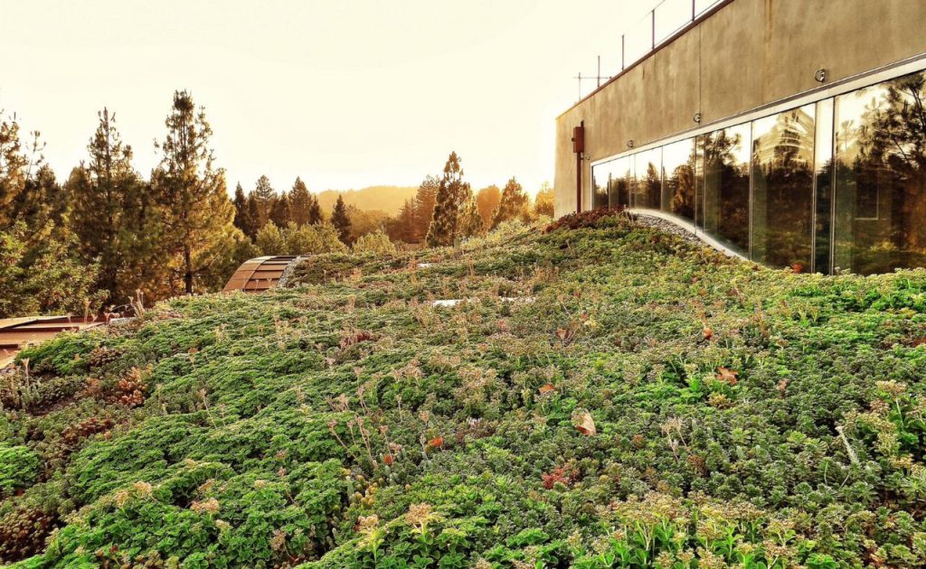 h2hotel green roof.